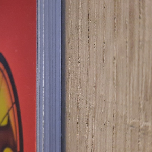 Secret Journal "Catching Fire" - Picture 6 of 6